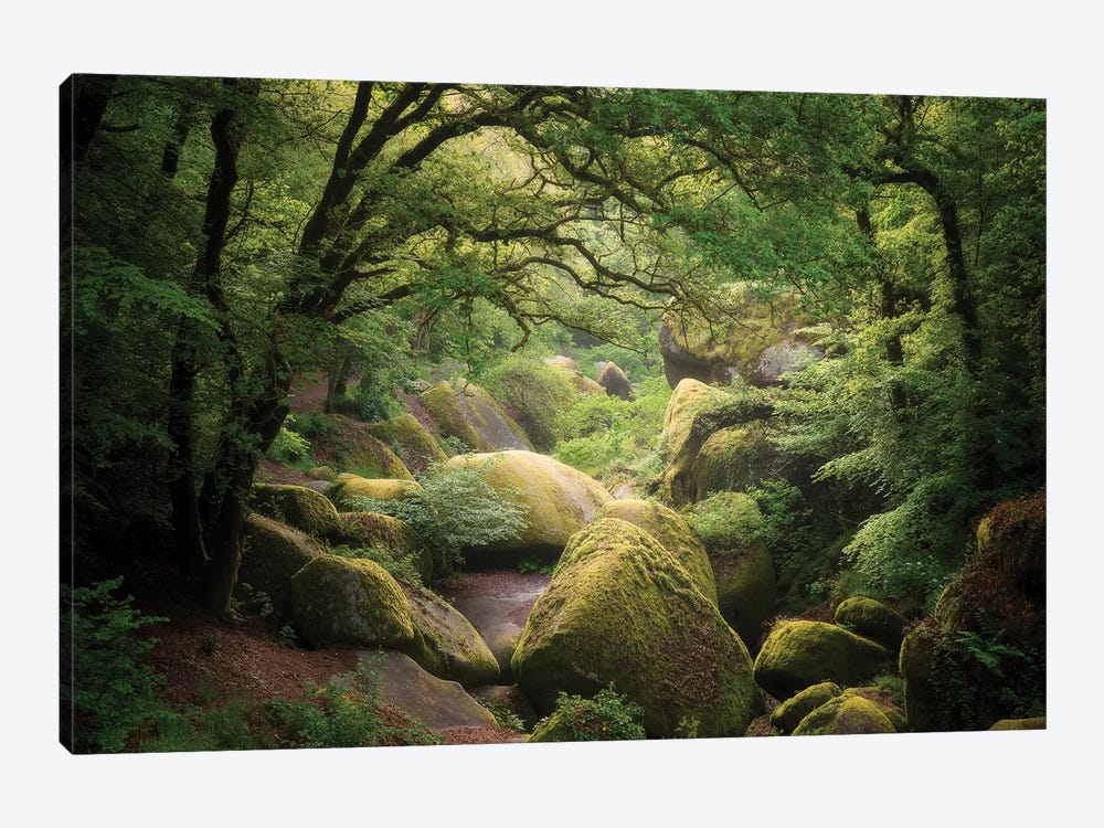 Huelgoat Forest In Brittany by Philippe Manguin 1-piece Art Print