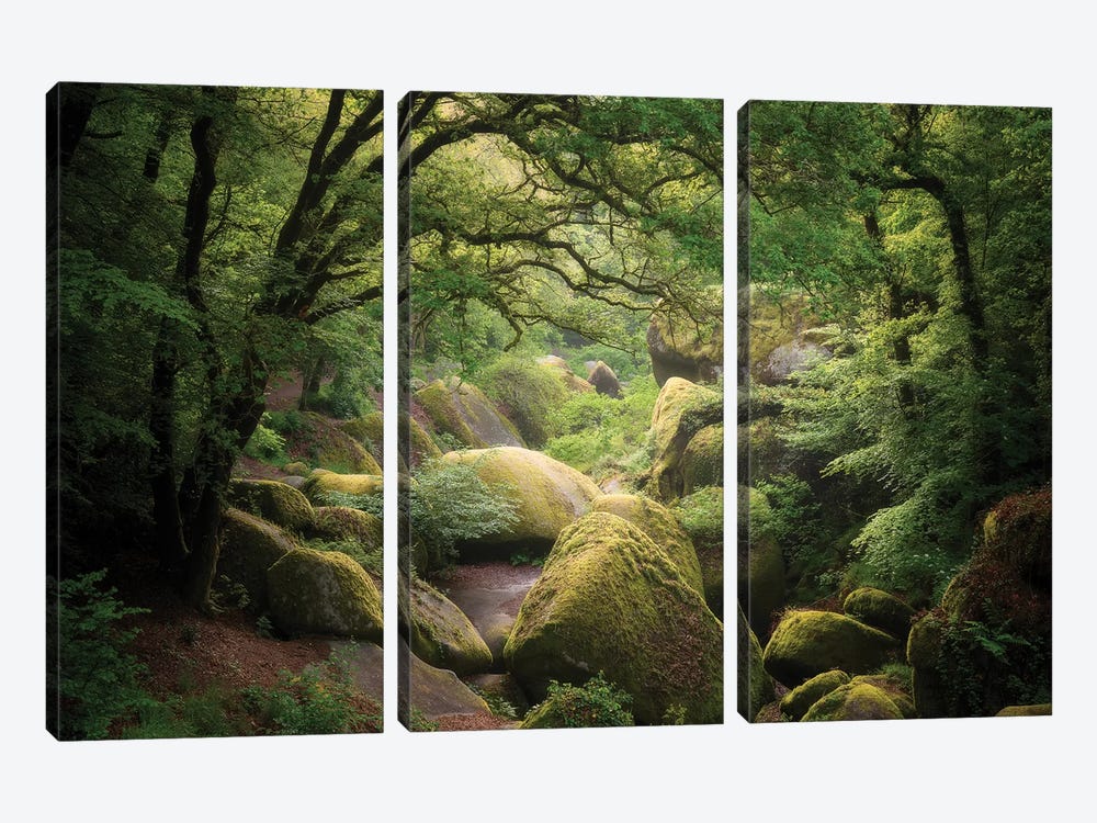Huelgoat Forest In Brittany by Philippe Manguin 3-piece Canvas Print