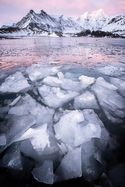 Glaciers & Icebergs: Ice Land by Philippe Manguin