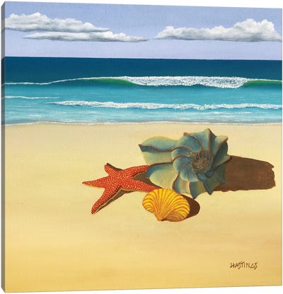 Ann's Shells Canvas Art Print - Ocean Treasures