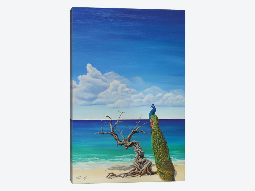 Cock Of The Boardwalk by Paul Hastings 1-piece Canvas Print