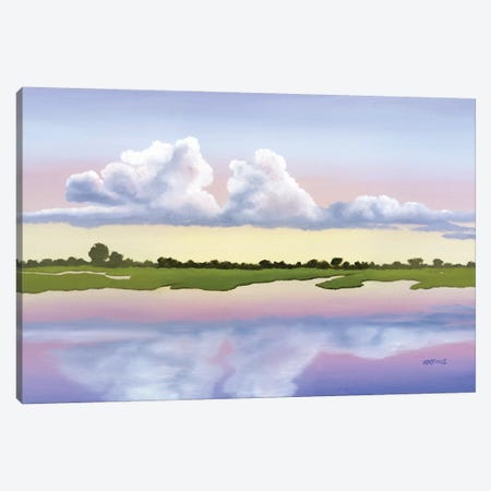 Mirror Image Canvas Print #PHS30} by Paul Hastings Canvas Artwork