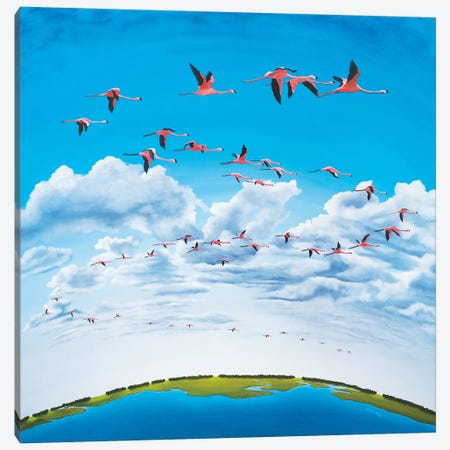 Sky High Canvas Print #PHS42} by Paul Hastings Canvas Print