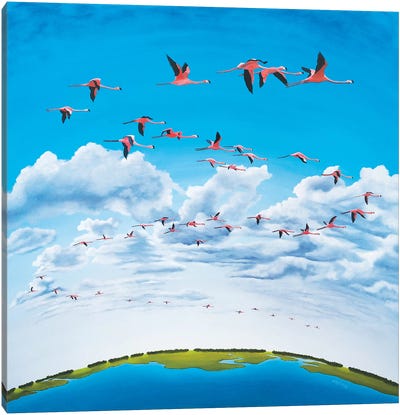 Sky High Canvas Art Print - Paul Hastings