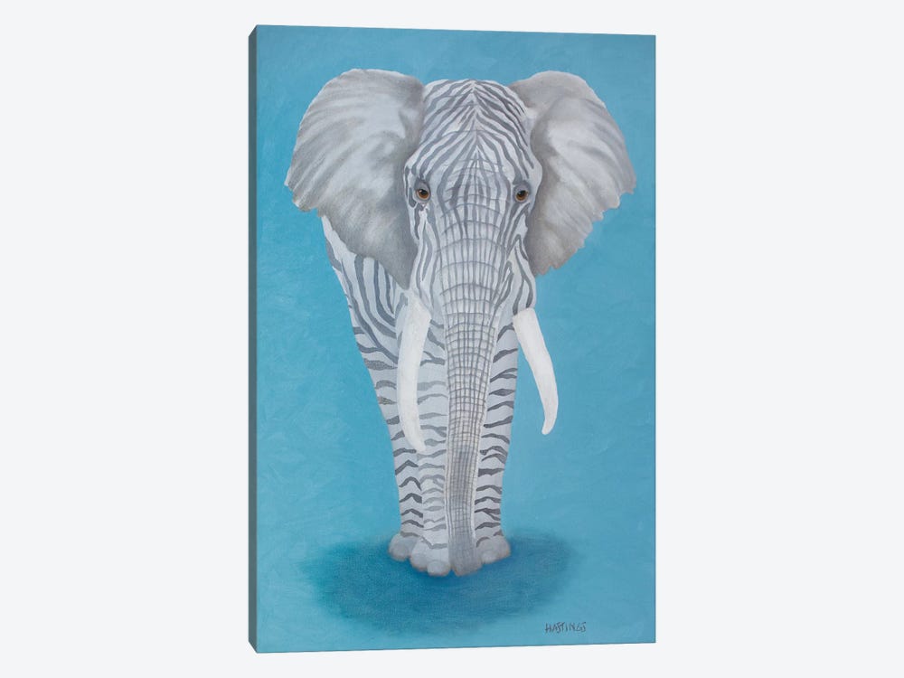 Zelephant by Paul Hastings 1-piece Canvas Wall Art