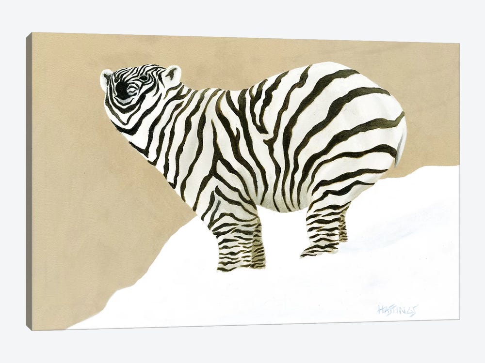 Zolar Bear by Paul Hastings 1-piece Canvas Art Print
