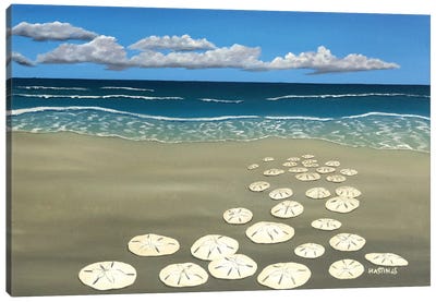 Ann's Sand Dollars Canvas Art Print - Ocean Treasures