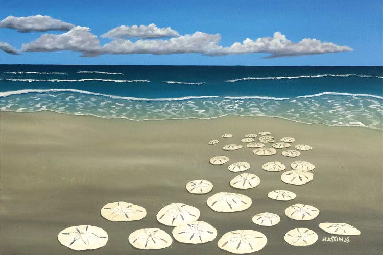 Ann's Sand Dollars