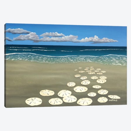 Ann's Sand Dollars Canvas Print #PHS9} by Paul Hastings Canvas Artwork