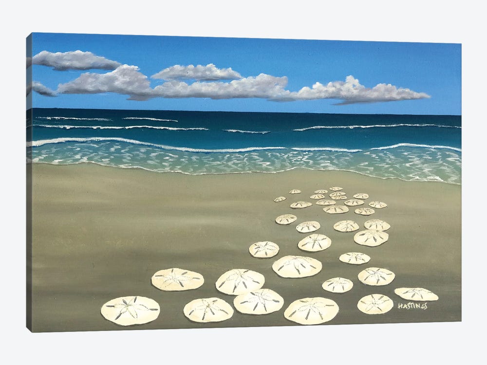 Ann's Sand Dollars by Paul Hastings 1-piece Canvas Artwork