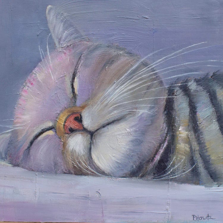 Sleeping Cat