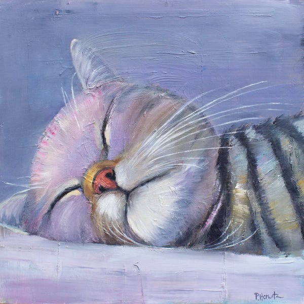 Sleeping & Napping: Sleeping Cat by Pattie Horwitz