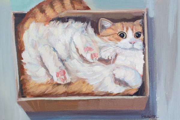 Fine Art Print: Orange Cat In Box by Pattie Horwitz