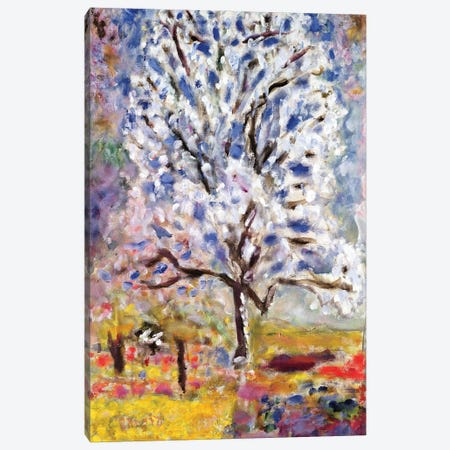 The Almond Tree In Blossom, 1947 Canvas Print #PIB129} by Pierre Bonnard Canvas Art Print