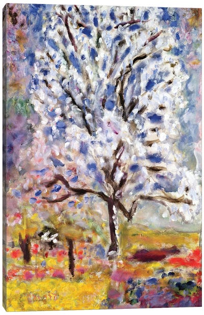 The Almond Tree In Blossom, 1947 Canvas Art Print - Pierre Bonnard