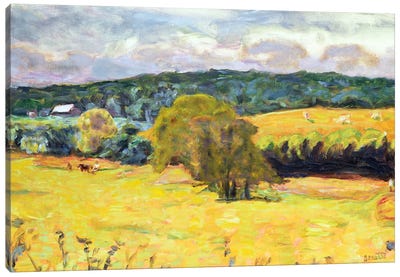 Dauphine Landscape, 1915 Canvas Art Print - Pierre Bonnard