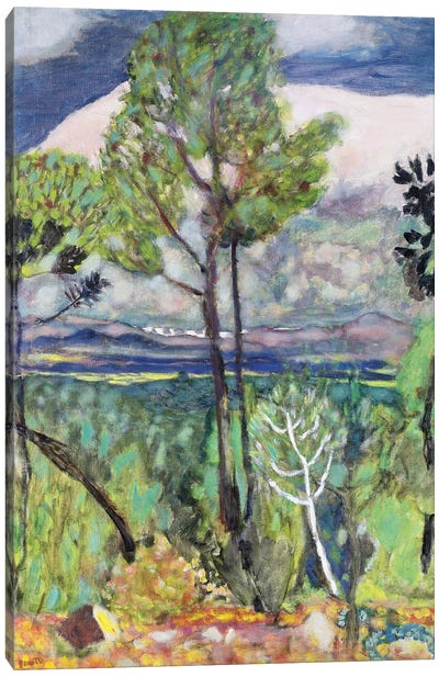 Landscape Canvas Art Print - Pierre Bonnard