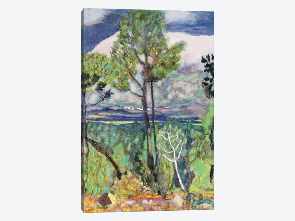 Landscape by Pierre Bonnard 1-piece Canvas Print