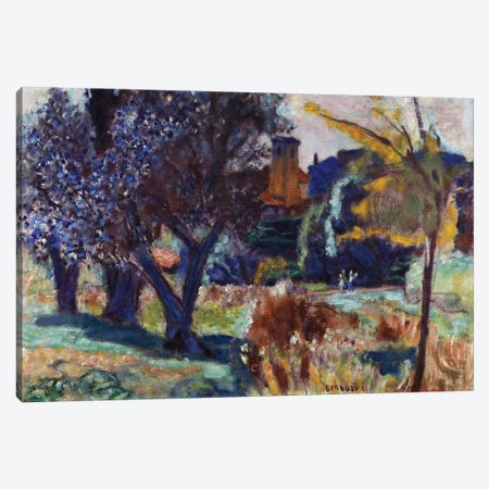 Landscape With Olive Trees And A Chapel, C.1924 Canvas Print #PIB59} by Pierre Bonnard Canvas Wall Art