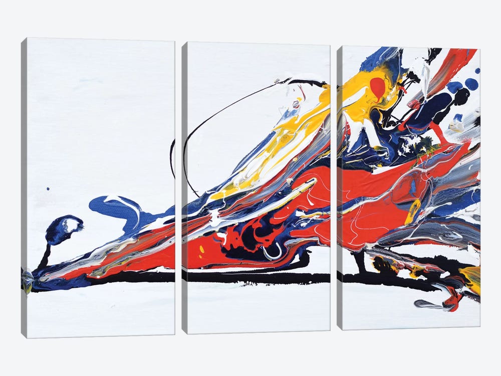 Color Splash by Piero Manrique 3-piece Canvas Art