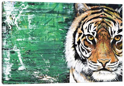 Tiger Canvas Art Print - Piero Manrique