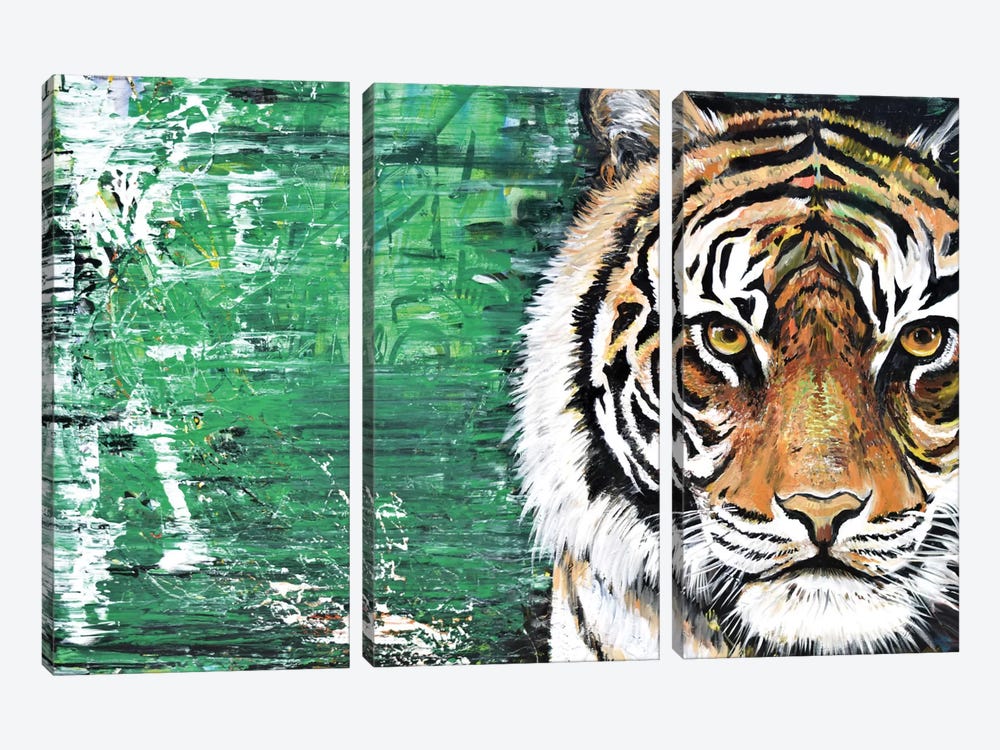 Tiger by Piero Manrique 3-piece Canvas Print