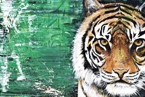 Piero Manrique: Tiger by Piero Manrique