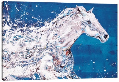 White Horse Canvas Art Print - Piero Manrique