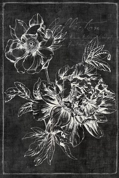 Black Botanical I by PI Galerie metal wall art