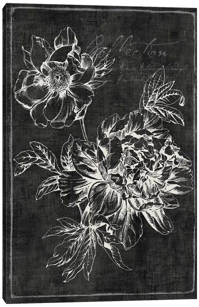 Black Botanical I Canvas Art Print - PI Galerie