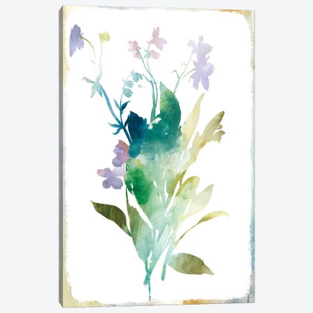 Summer Botanical I Canvas Print #PIG251} by PI Galerie Canvas Art Print