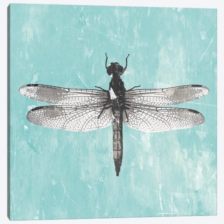 Dragonfly III Canvas Print #PIG58} by PI Galerie Art Print