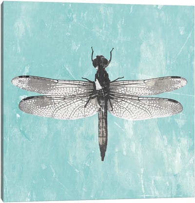 Dragonfly III Canvas Art Print - Dragonfly Art