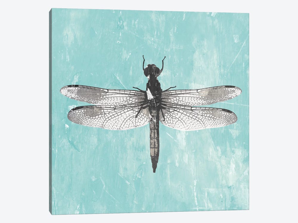 Dragonfly III by PI Galerie 1-piece Canvas Print