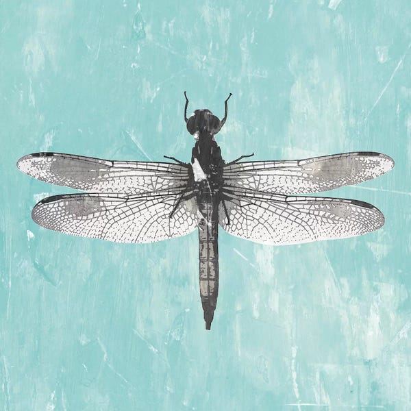 PI Galerie: Dragonfly III by PI Galerie