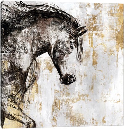 Equestrian Gold III Canvas Art Print - PI Galerie