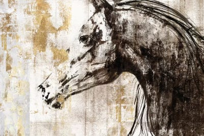 Equestrian Gold IV by PI Galerie metal wall art