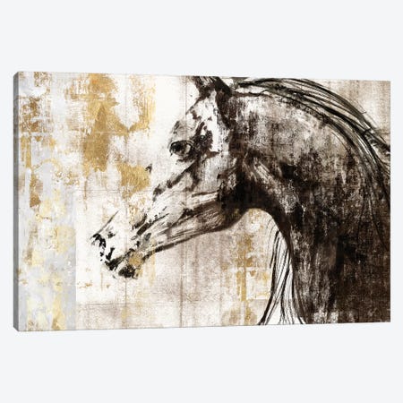 Equestrian Gold IV Canvas Print #PIG67} by PI Galerie Art Print