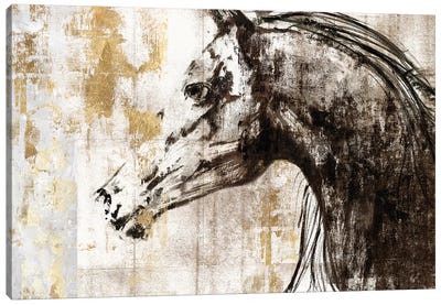 Equestrian Gold IV Canvas Art Print - PI Galerie