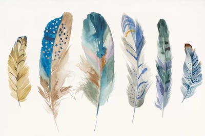 Feathers