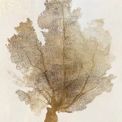 Gold Coral I by PI Galerie metal wall art