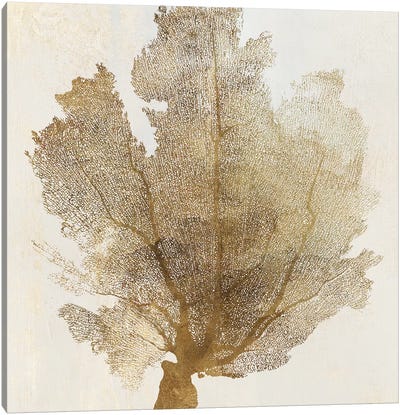 Gold Coral I Canvas Art Print - Gold & White Art
