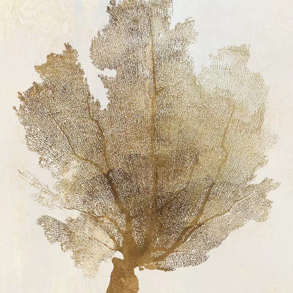 Coral: Gold Coral I by PI Galerie