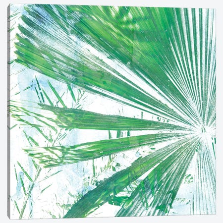 Emerald Palms I Canvas Print #PIL1} by Pam Ilosky Canvas Art Print