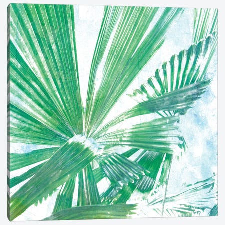 Emerald Palms II Canvas Print #PIL2} by Pam Ilosky Canvas Print