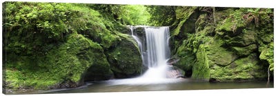 Geroldsau Waterfall, Black Forest, Baden-Wurttemberg, Germany Canvas Art Print - Moss