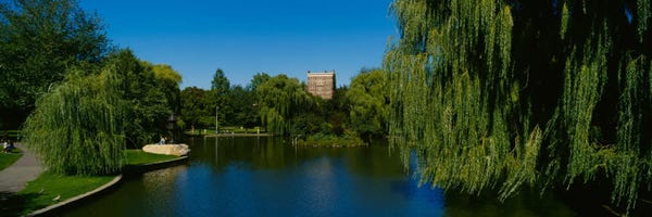 Massachusetts: Lake in a formal garden, Boston Public Garden, Boston, Massachusetts, USA by Panoramic Images