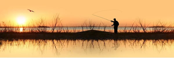 Silhouette of a man fishing