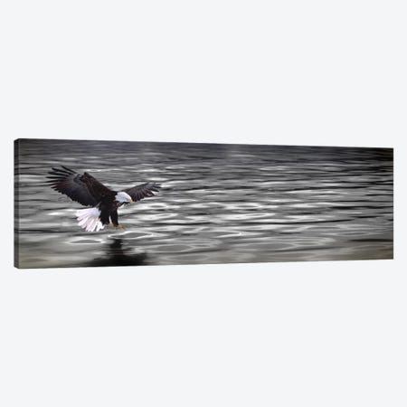 Eagle over water Canvas Print #PIM10053} by Panoramic Images Canvas Art Print