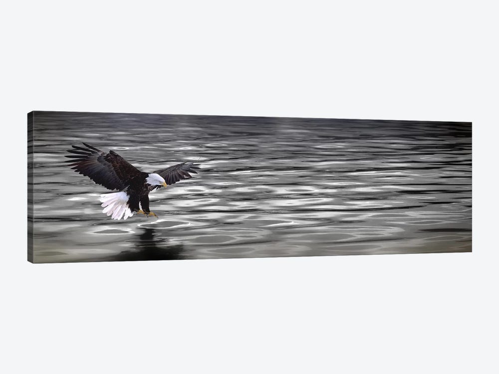 Eagle over water by Panoramic Images 1-piece Canvas Art